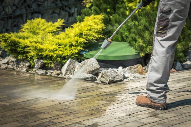 Best Boat and Dock Cleaning  in Ellitt, CO