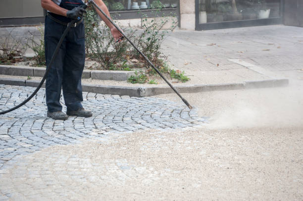 Best Gutter Cleaning  in Ellitt, CO